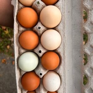 Farm Fresh Eggs
