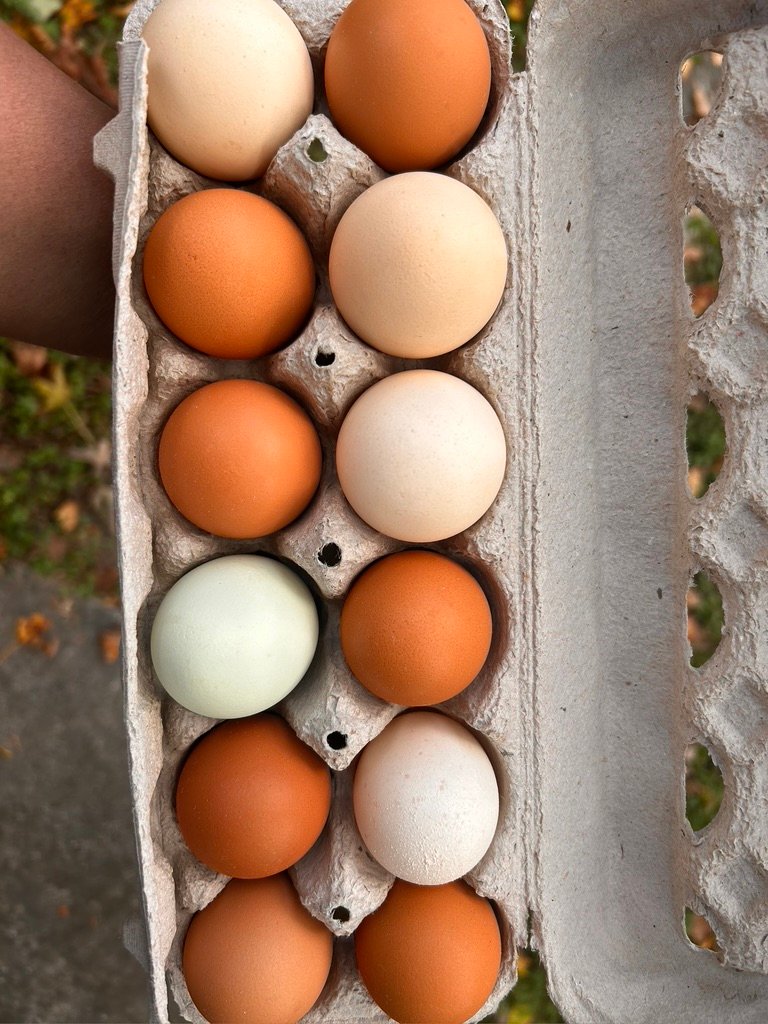Farm Fresh Eggs